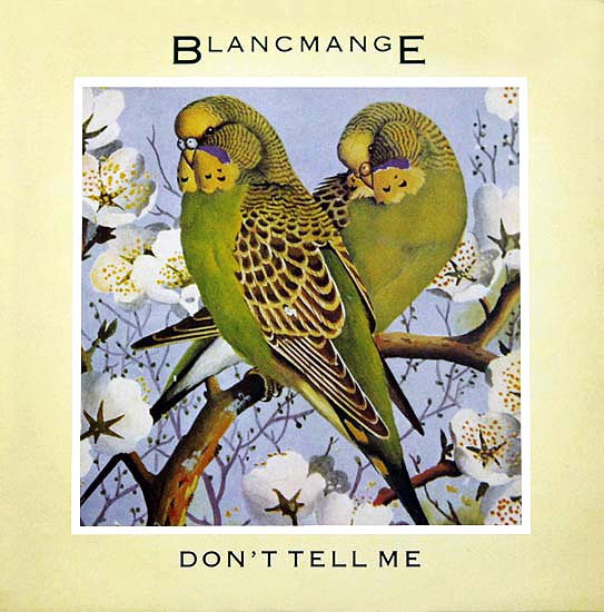 Blancmange - Don't Tell Me - Used Vinyl Record 12" image 1