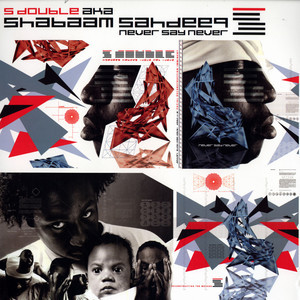S-Dub - Never Say Never - Used Vinyl Record image 1