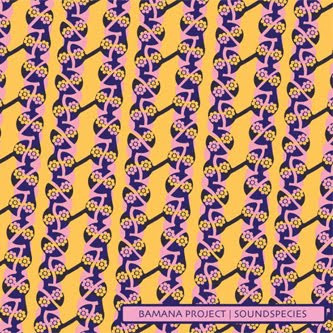 Soundspecies - Bamana Project - Vinyl Record 12" image 1