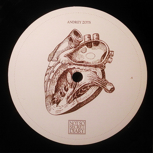 Andrey Zots - Not So Secret Diary - Vinyl Record 12" image 1