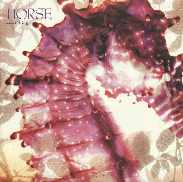 Horse - Sweet Thing - Used Vinyl Record 7" image 1