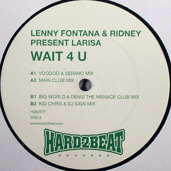 Lenny Fontana - Wait 4 U - Vinyl Record 12" image 1