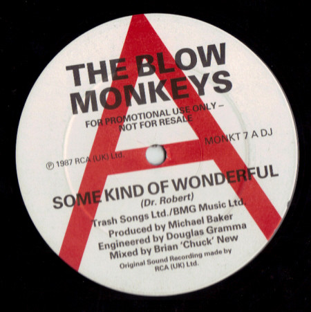 Blow Monkeys - Some Kind Of Wonderful - Used Vinyl Record 12" image 1