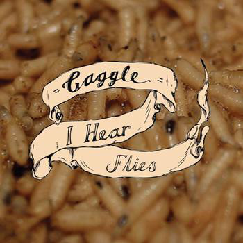 Gaggle - I Hear Flies - Used Vinyl Record 7" image 1