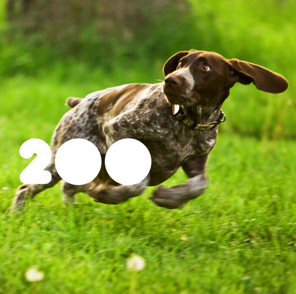 Various - 2OO - CD image 1