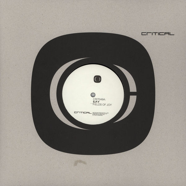 S.P.Y. - Fields Of Joy / Stormtrooper - Vinyl Record 12" image 1