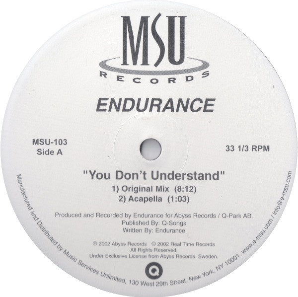 Endurance - You Don't Understand - Vinyl Record 12" image 1