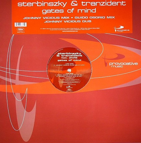 Sterbinszky - Gates Of Mind - Vinyl Record 12" image 1