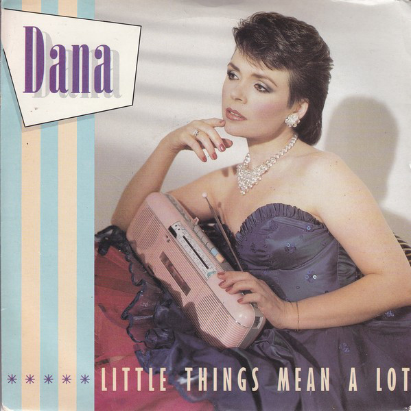 Dana - Little Things Mean A Lot - Used Vinyl Record 7" image 1