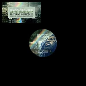 Bunny On Acid - Are You A Rainbow? EP - Vinyl Record 12" image 1