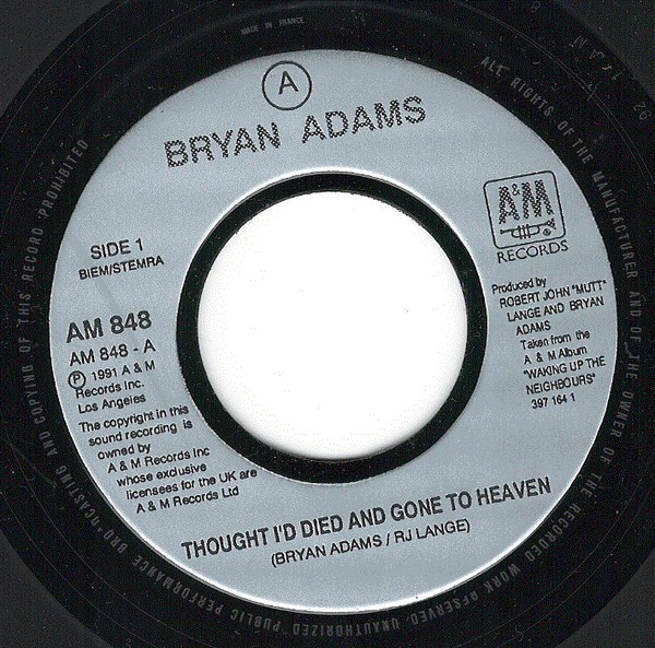 Bryan Adams - Thought I'd Died And Gone To Heaven - Used Vinyl Record image 1