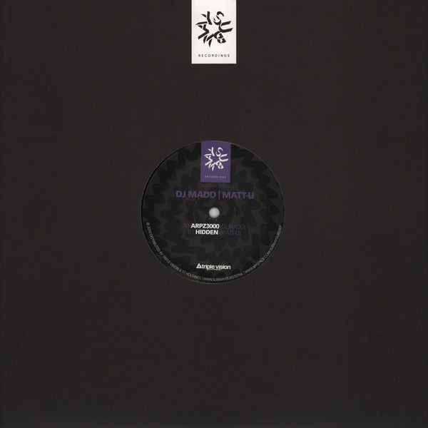 DJ Madd - ARPZ3000 / Hidden - Vinyl Record 12" image 1