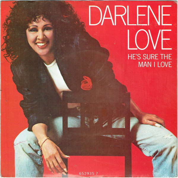 Darlene Love - He's Sure The Man I Love - Used Vinyl Record 7" image 1