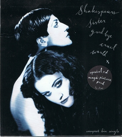 Shakespear's Sister - Goodbye Cruel World - Used CD image 1