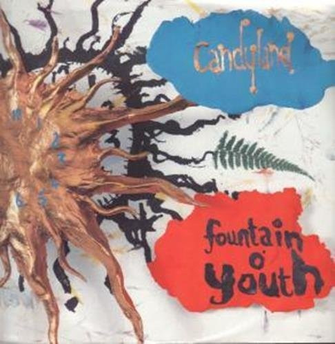 Candyland - Fountain O' Youth - Used Vinyl Record 12" image 1