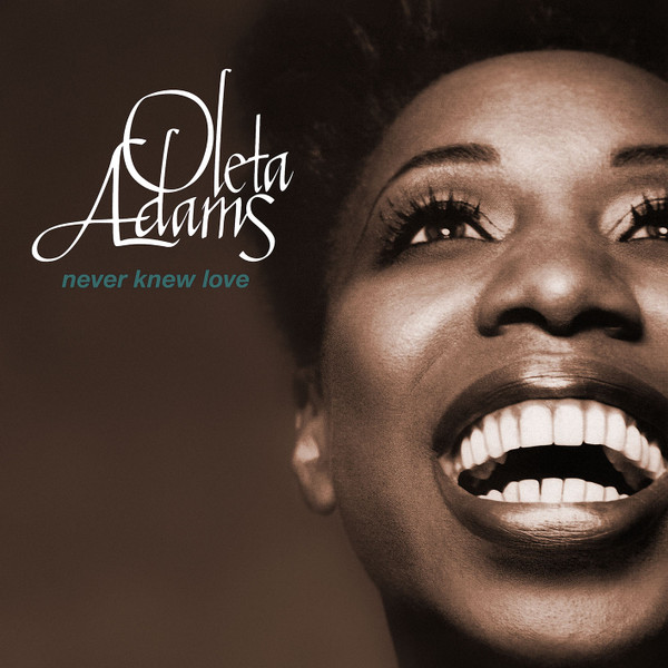 Oleta Adams - Never Knew Love - Used Vinyl Record 12" image 1
