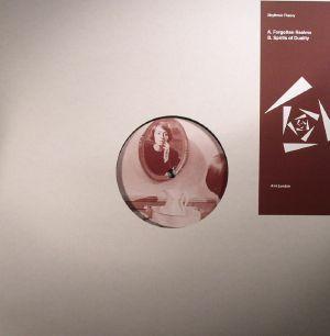 Rhythmic Theory - Forgotten Realms - Vinyl Record 12" image 1