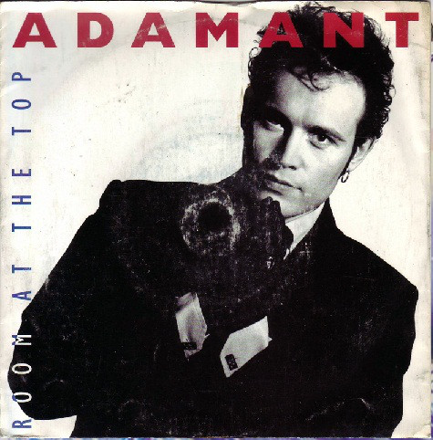 Adam Ant - Room At The Top - Used Vinyl Record 12" image 1