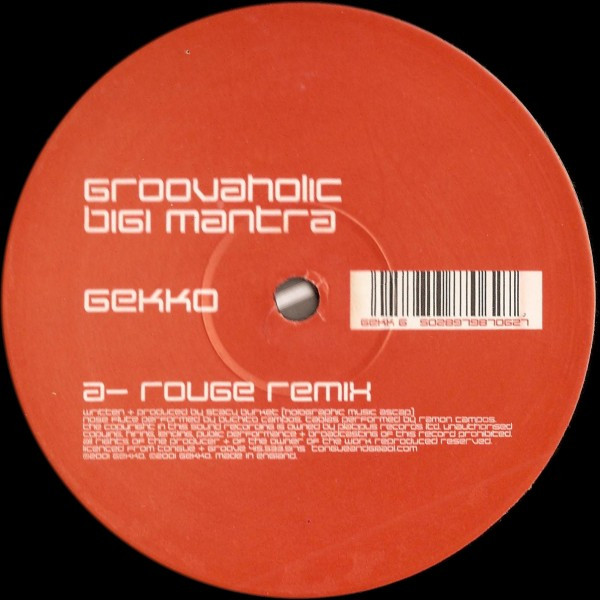 Groovaholic - Bigi Mantra - Used Vinyl Record 12" image 1