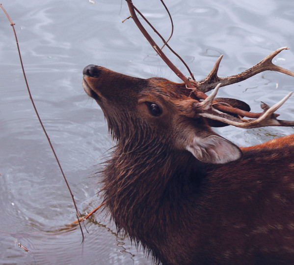 By The Waterhole - Two - Used CD image 1