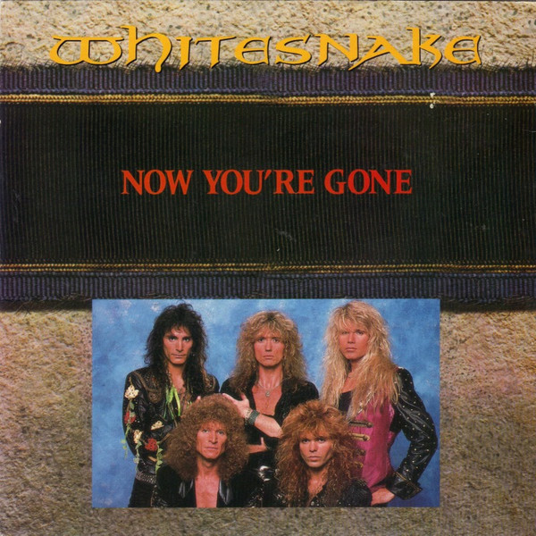 Whitesnake - Now You're Gone - Used Vinyl Record 7" image 1