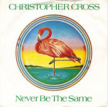 Christopher Cross - Never Be The Same - Used Vinyl Record 7" image 1
