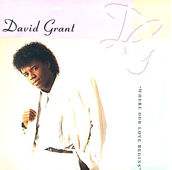 David Grant - Where Our Love Begins - Used Vinyl Record 12" image 1
