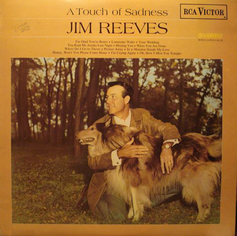 Jim Reeves - A Touch Of Sadness - Used Vinyl Record image 1