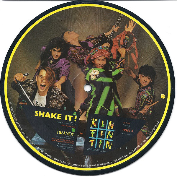 Rin Tin Tin - Shake It! - Used Vinyl Record 7" image 1