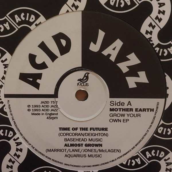 Mother Earth - Grow Your Own EP - Used Vinyl Record 12" image 1