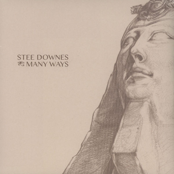 Stee Downes - Many Ways - Vinyl Record 12" image 1