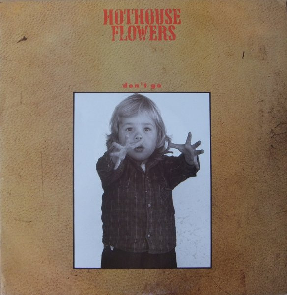 Hothouse Flowers - Don't Go - Used Vinyl Record 12" image 1