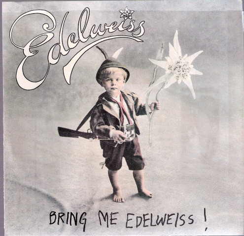Edelweiss - Bring Me - Used Vinyl Record 7" image 1