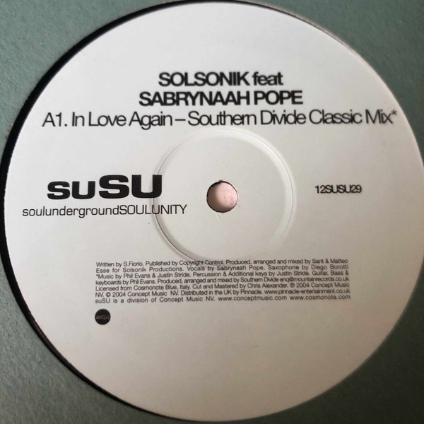Solsonik - In Love Again - Vinyl Record 12" image 1