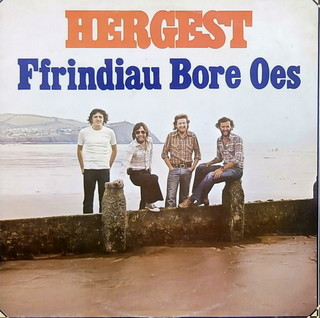Hergest - Ffrindiau Bore Oes - Used Vinyl Record image 1