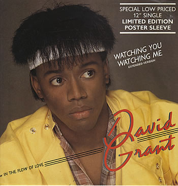 David Grant - Watching You Watching Me - Used Vinyl Record 12" image 1