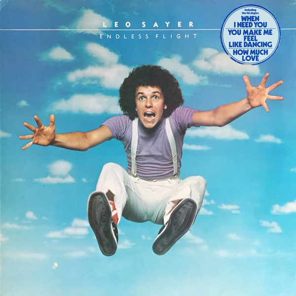 Leo Sayer - Endless Flight - Used Vinyl Record image 1