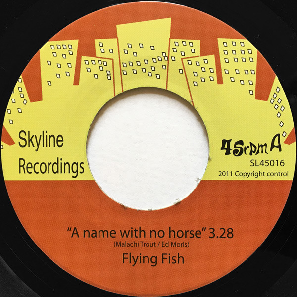 Flying Fish - A Name With No Horse - Vinyl Record 7" image 1
