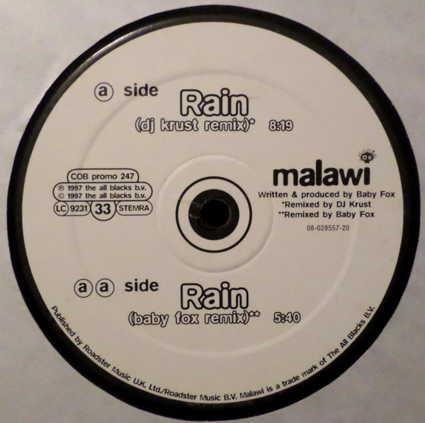 Baby Fox - Rain - Used Vinyl Record 12" image 1