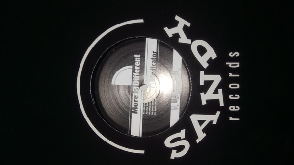 Direction Indicator - More Is Different - Used Vinyl Record 12" image 1