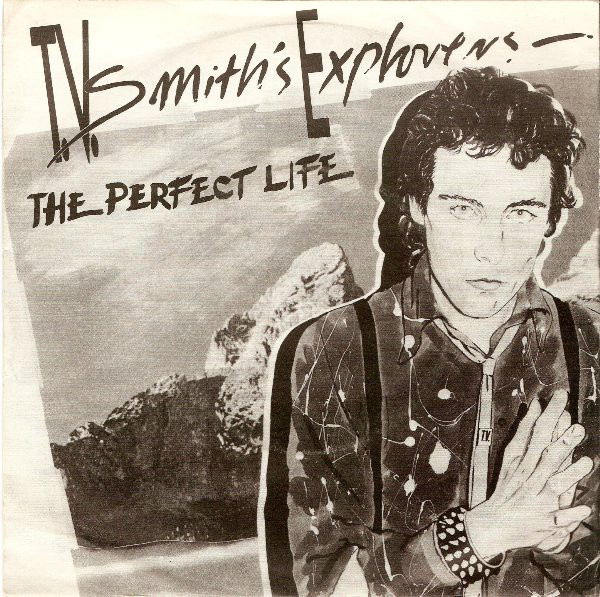 T.V. Smith's Explore - Perfect Life - Used Vinyl Record 7" image 1