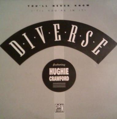 Diverse - You'll Never Know (Till You're In It) - Used Vinyl Record 12" image 1