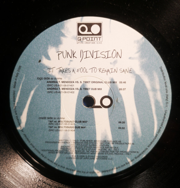 Punk Division - It Takes A Fool To Remain Sane - Vinyl Record 12" image 1