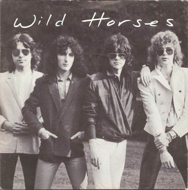 Wild Horses - Criminal Tendencies - Used Vinyl Record 7" image 1