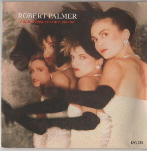 Robert Palmer - I Didn't Mean To Turn You On - Used Vinyl Record 7" image 1