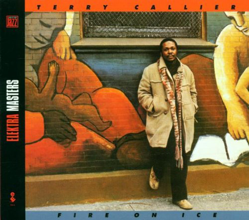 Terry Callier - Fire On Ice - CD image 1