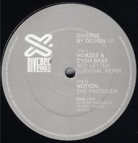 Various - Diverse By Design 1.0 - Vinyl Record 12" image 1