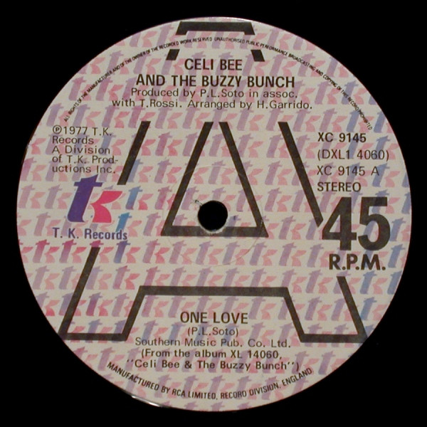 Celi Bee & The Buzzy - One Love / Hurt Me, Hurt Me - Used Vinyl Record 1 image 1