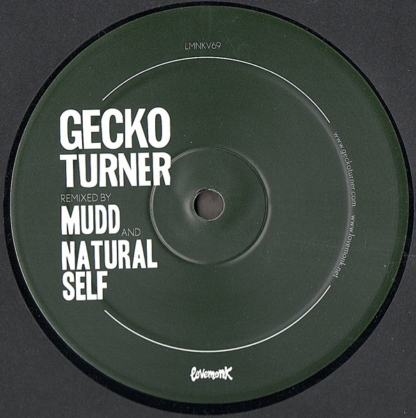 Gecko Turner - You Can't Own Me / When I Woke Up - Vinyl Record 12" image 1