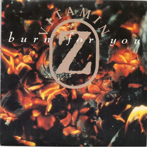 Vitamin Z - Burn For You - Used Vinyl Record 12" image 1